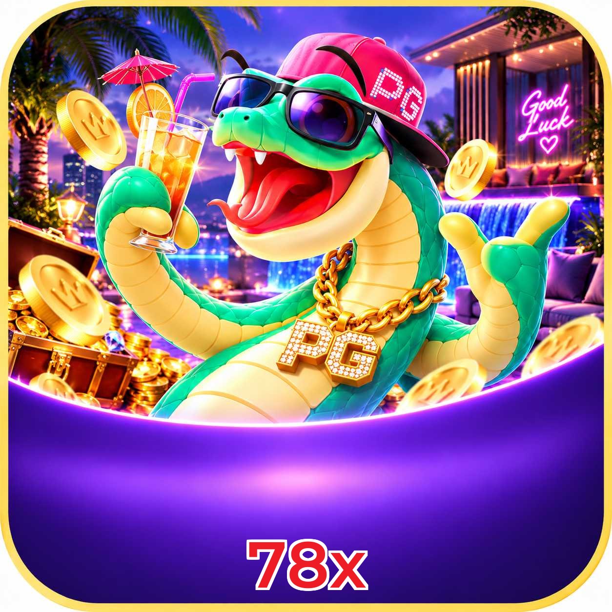78x Interface
